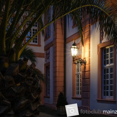 2025 Foto-Walk Biebricher Schloss - Moni Besier 02